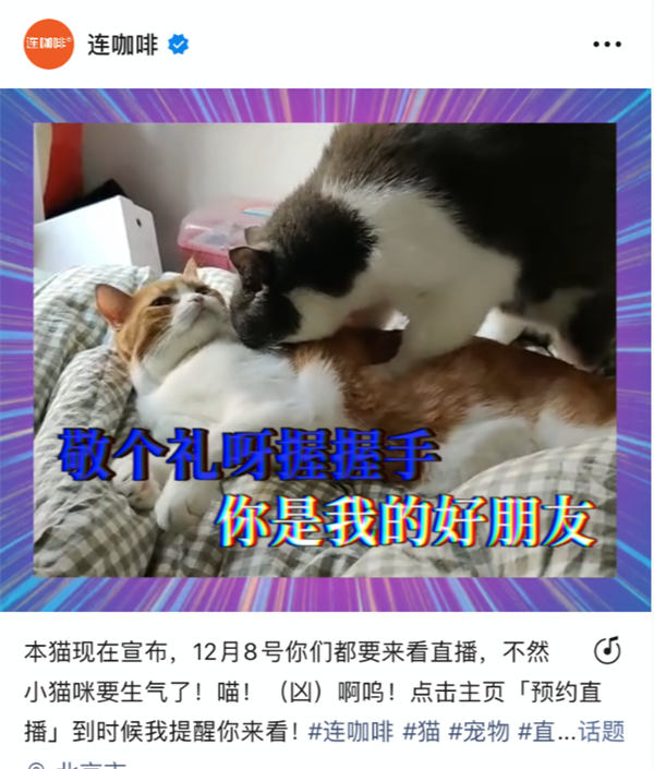 视频号内容创作与账号运营有哪些方法论? 视频号 建站教程 第5张 视频号内容创作与账号运营有哪些方法论? 视频号 建站教程 第5张