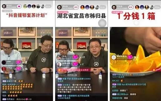 构建私域流量池：多渠道引流策略与案例