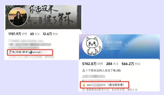 抖音留V的引流技巧:简介设置