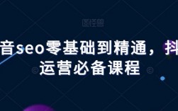 抖音seo零基础到精通 抖音关键字运营必备课程