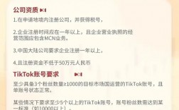 TikTok本土MCN机构申请全攻略所需资料与布局优势解析