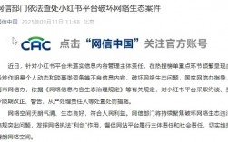 因破坏网络生态！小红书被查处，责任人被从严处理