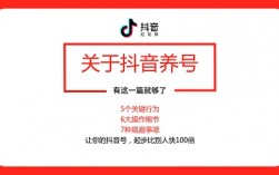 抖音如何养高权重号快速涨粉？5个方面教你如何玩转抖音