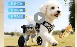 宠物用品还能做吗？90%的人不知道这条小众赛道