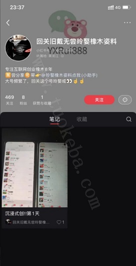 截流钩子模板：简介引流