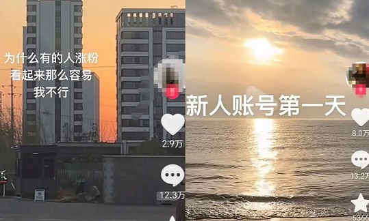 抖音涨粉