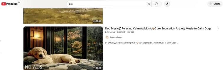 YouTube