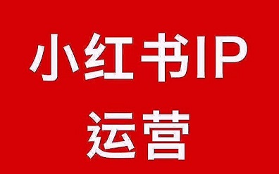 做小红书个人IP最快的方法:贩卖你的人生