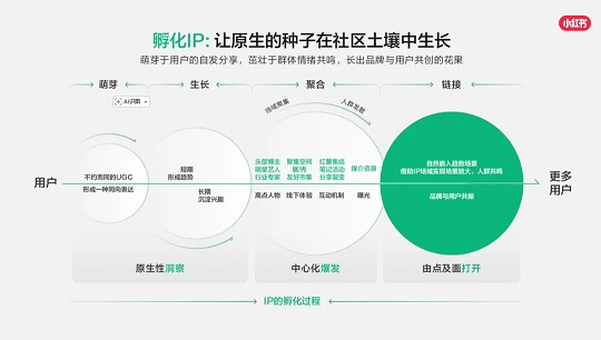 拆解高转化案例:小红书种草的3个思维打法(图5)