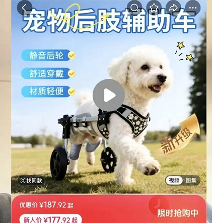 宠物用品还能做吗?90%的人不知道这条小众赛道(图1)