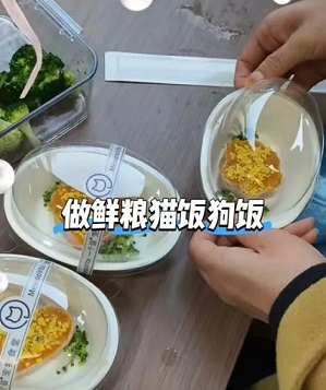 宠物经济下一个爆点：把宠物需求当作人来做(图2)