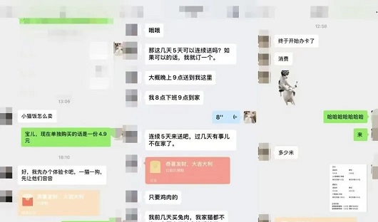 宠物经济下一个爆点：把宠物需求当作人来做(图4)