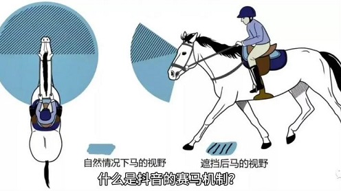 抖音赛马机制